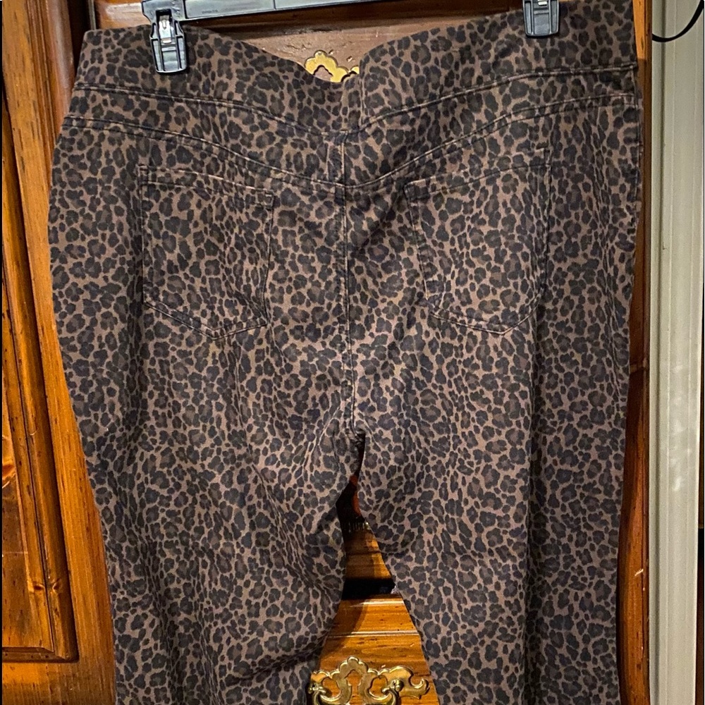 Plus size pants
